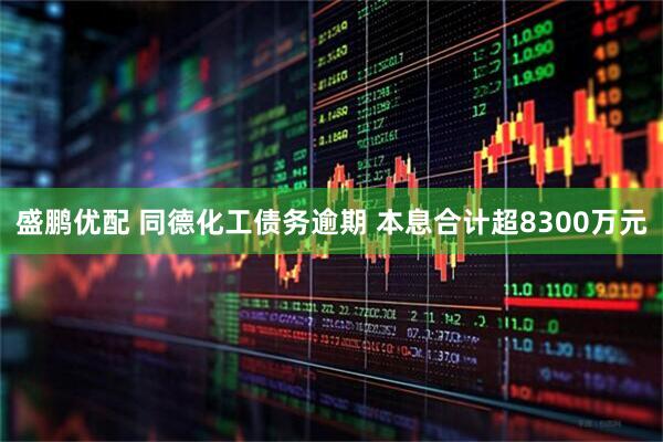 盛鹏优配 同德化工债务逾期 本息合计超8300万元