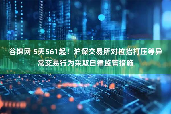 谷锦网 5天561起！沪深交易所对拉抬打压等异常交易行为采取自律监管措施