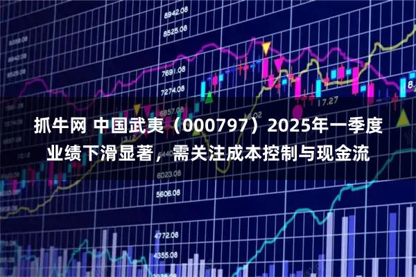 抓牛网 中国武夷（000797）2025年一季度业绩下滑显著，需关注成本控制与现金流