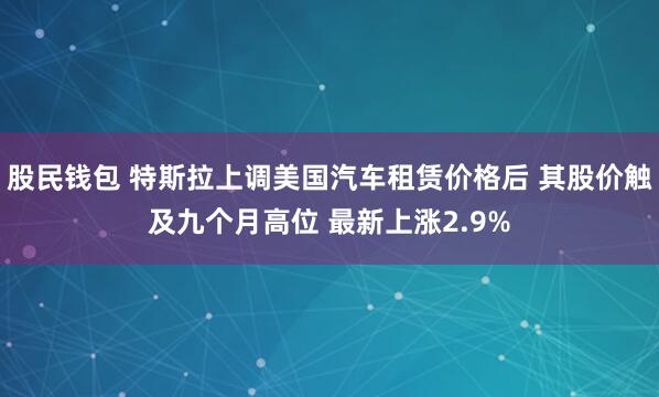 股民钱包 特斯拉上调美国汽车租赁价格后 其股价触及九个月高位 最新上涨2.9%
