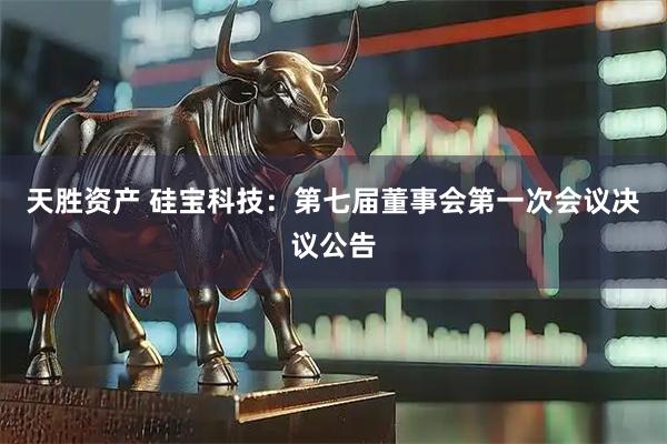 天胜资产 硅宝科技：第七届董事会第一次会议决议公告