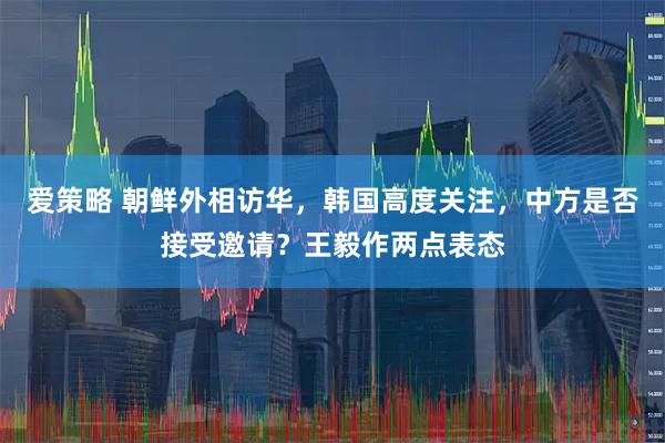 爱策略 朝鲜外相访华，韩国高度关注，中方是否接受邀请？王毅作两点表态