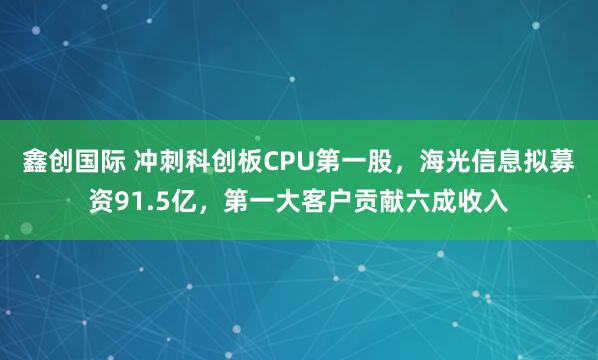 鑫创国际 冲刺科创板CPU第一股，海光信息拟募资91.5亿，第一大客户贡献六成收入