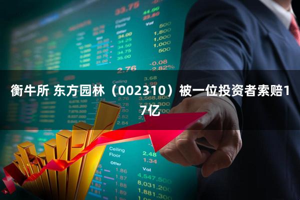 衡牛所 东方园林（002310）被一位投资者索赔17亿